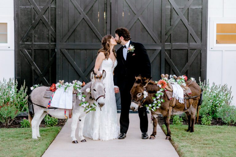 Bride and groom with their wedding donkeys.