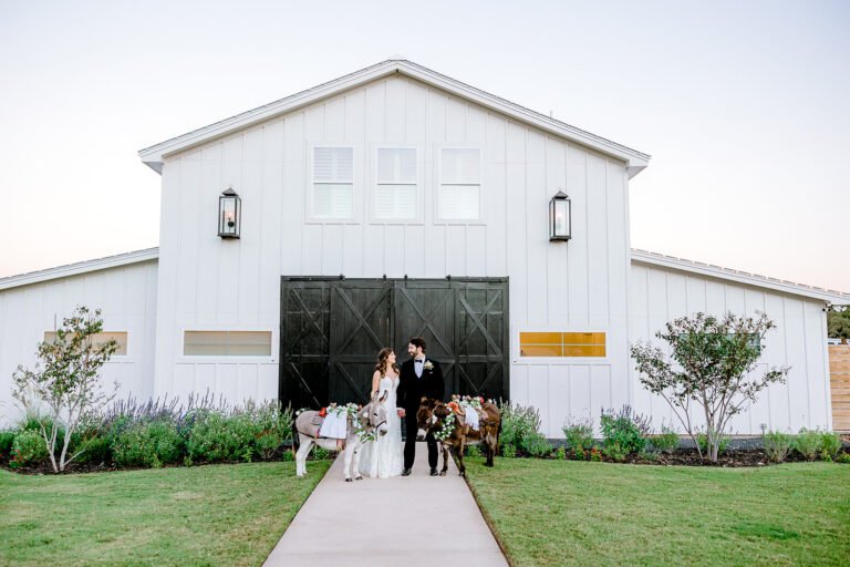 A charming French farmhouse nestled in the heart of San Marcos, Texas.